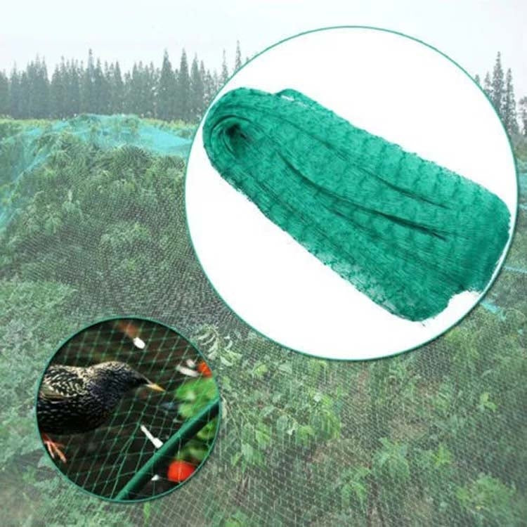 4Mx5M  Anti Bird Protection Net Mesh Garden Plant Netting Protect Plants and Fruit - Garden Netting by PMC Jewellery | Online Shopping South Africa | PMC Jewellery
