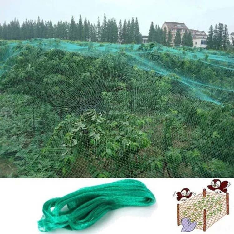 4Mx10M  Anti Bird Protection Net Mesh Garden Plant Netting Protect Plants and Fruit - Garden Netting by PMC TechLife | Online Shopping South Africa | PMC TechLife | Buy Now Pay Later Mobicred