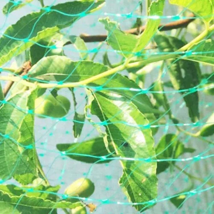 4Mx15M  Anti Bird Protection Net Mesh Garden Plant Netting Protect Plants and Fruit - Garden Netting by PMC TechLife | Online Shopping South Africa | PMC TechLife