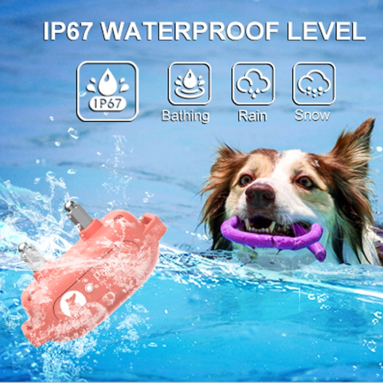 PaiPaitek PD523 1000m Remote Control Rechargeable Waterproof Dog Trainer - Training Aids by PaiPaitek | Online Shopping South Africa | PMC Jewellery | Buy Now Pay Later Mobicred