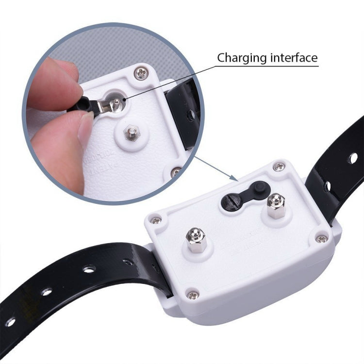 KD-661 500m Wireless Electric Dog Pet Fence Shock Collar,Spec: For Two Dog(US Plug) - free shipping - PMC TechLife - Order now!