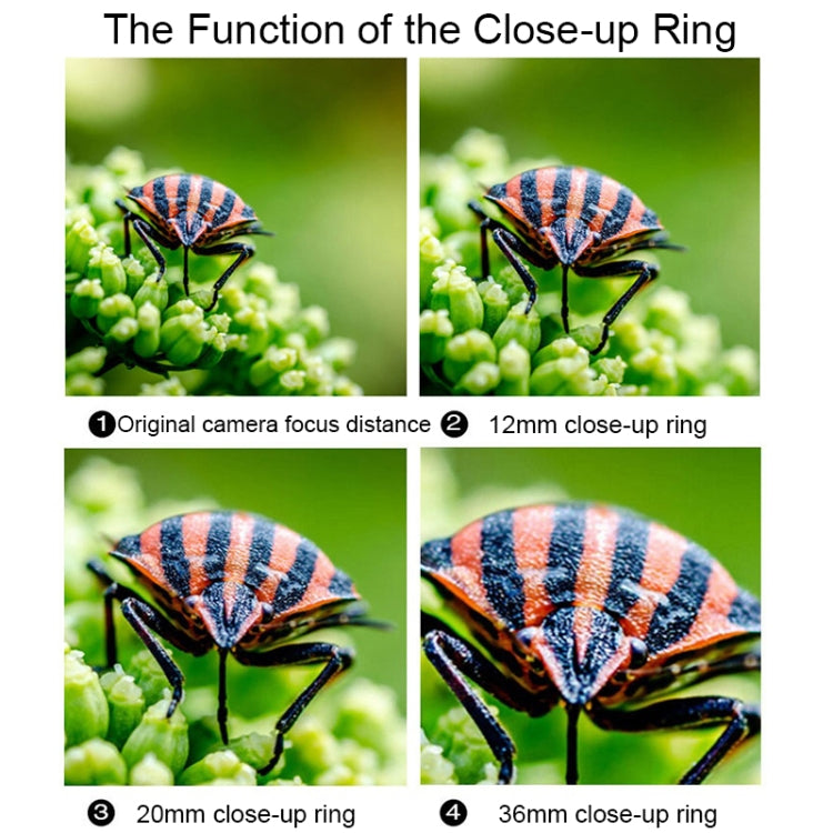 For Canon EOS Series VILTROX DG-C Camera Automatic Close-up Ring Macro Mount - free shipping - PMC TechLife - Order now!