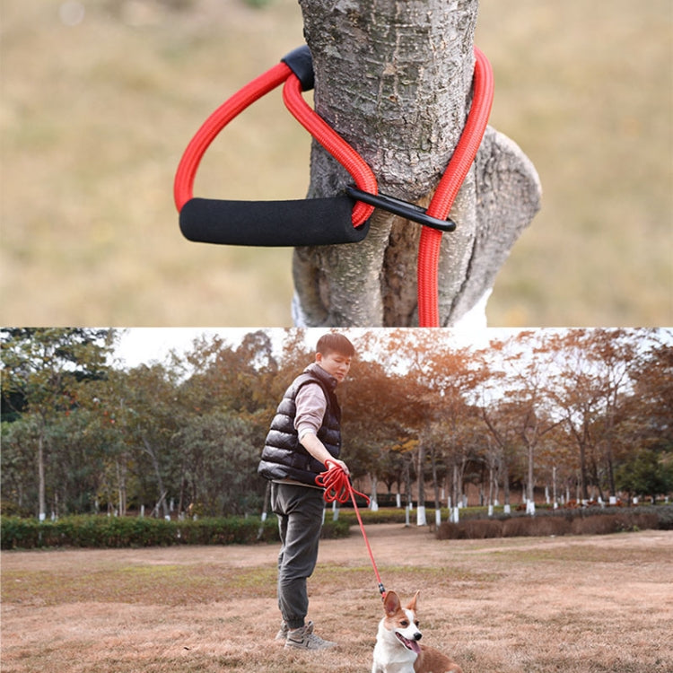 Sh36 Rock Climbing Rope Pet Leash Bold and Long Dog Training Tracking Rope, Size: 10m(10mm Light Blue) - Leashes & Chest Strap by PMC TechLife | Online Shopping South Africa | PMC TechLife | Buy Now Pay Later Mobicred