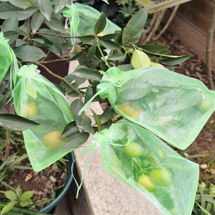 100pcs /Pack  Fruit Protection Bag Anti-Insect And Anti-Bird Net Bag 13 x 18cm(Black) - Plant Support & Care by PMC TechLife | Online Shopping South Africa | PMC TechLife | Buy Now Pay Later Mobicred