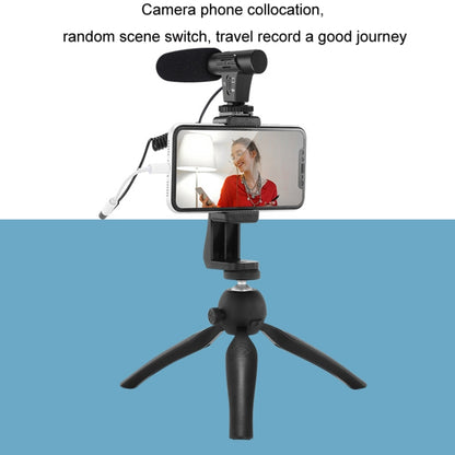 Video Recording Live Camera Mobile Conference Recording Microphone(Black) - Microphone by PMC Jewellery | Online Shopping South Africa | PMC Jewellery | Buy Now Pay Later Mobicred