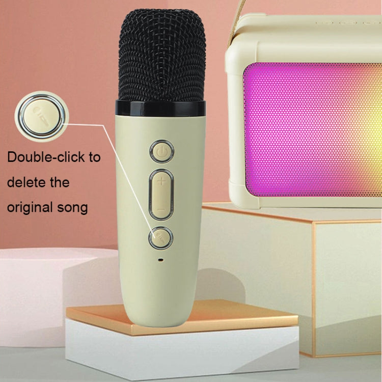 Portable RGB Lighting Effect Bluetooth Speaker Home Mini Karaoke Audio, Style: Dual Microphone+Speaker(Pink) - Microphone by PMC TechLife | Online Shopping South Africa | PMC TechLife | Buy Now Pay Later Mobicred