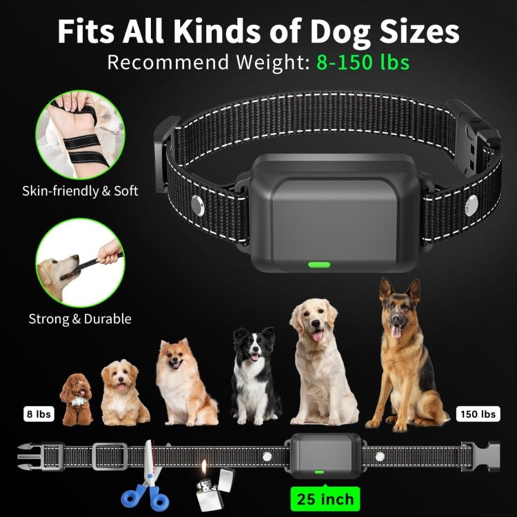 Color Screen Dragon Two Remote Control Pet Electric Shock Circular Dog Trainer(Black) - Training Aids by PMC TechLife | Online Shopping South Africa | PMC TechLife | Buy Now Pay Later Mobicred