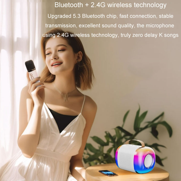 Y5 1 Microphone Portable Bluetooth Speaker Home And Outdoor Wireless Karaoke Audio(Black) - Microphone by PMC TechLife | Online Shopping South Africa | PMC TechLife | Buy Now Pay Later Mobicred