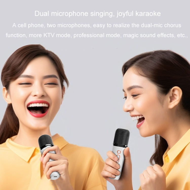 Y5 2 Microphone Portable Bluetooth Speaker Home And Outdoor Wireless Karaoke Audio(Black) - Microphone by PMC Jewellery | Online Shopping South Africa | PMC Jewellery | Buy Now Pay Later Mobicred