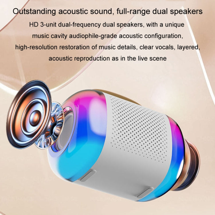 Y5 2 Microphone Portable Bluetooth Speaker Home And Outdoor Wireless Karaoke Audio(Pink) - Microphone by PMC TechLife | Online Shopping South Africa | PMC TechLife | Buy Now Pay Later Mobicred