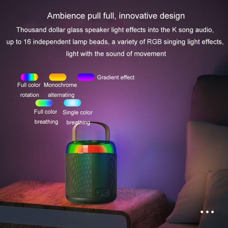 Home Portable Bluetooth Speaker Small Outdoor Karaoke Audio, Color: Y1 Pink(Double wheat) - Microphone by PMC TechLife | Online Shopping South Africa | PMC TechLife | Buy Now Pay Later Mobicred