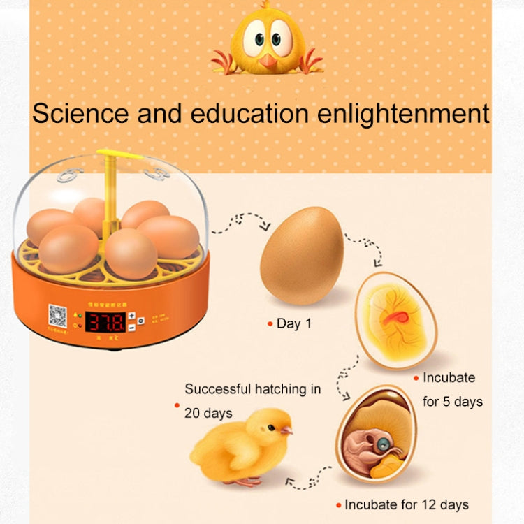 6-Eggs Small Household Experimental Children Smart Chicken Incubators, Spec: Dual-electric Automatic UK Plug - Incubators by PMC TechLife | Online Shopping South Africa | PMC TechLife