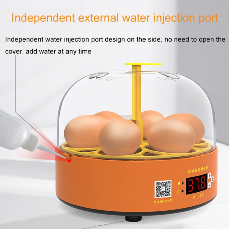 6-Eggs Small Household Experimental Children Smart Chicken Incubators, Spec: Automatic US Plug - Incubators by PMC TechLife | Online Shopping South Africa | PMC TechLife