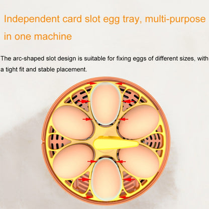 6-Eggs Small Household Experimental Children Smart Chicken Incubators, Spec: Automatic US Plug - Incubators by PMC Jewellery | Online Shopping South Africa | PMC Jewellery