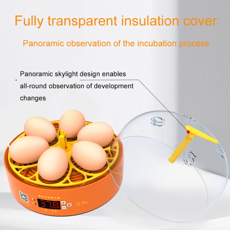 6-Eggs Small Household Experimental Children Smart Chicken Incubators, Spec: Automatic UK Plug - Incubators by PMC TechLife | Online Shopping South Africa | PMC TechLife