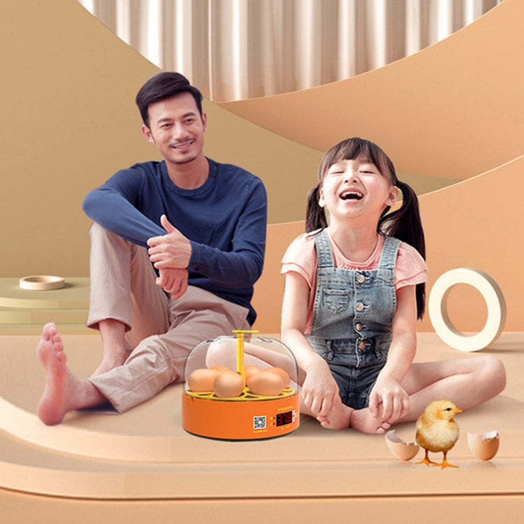 6-Eggs Small Household Experimental Children Smart Chicken Incubators, Spec: Automatic US Plug - Incubators by PMC TechLife | Online Shopping South Africa | PMC TechLife