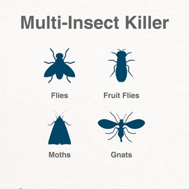 Plug-In Refillable Fly Trap For Flies, Moths, Gnats, And Other Flying Insects With 2 Glue Cards US Plug(White) - Traps by PMC TechLife | Online Shopping South Africa | PMC TechLife | Buy Now Pay Later Mobicred