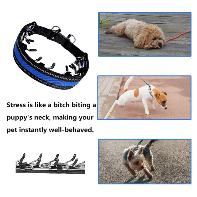 Pet Training Stimulating Chain Collar Anti-Burst Punch Dog Corral, Size: XL(Blue) - Collars by PMC TechLife | Online Shopping South Africa | PMC TechLife | Buy Now Pay Later Mobicred