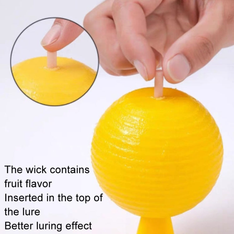 8cm Indoor Fruit Fly Ball With Core Insect Attractant Sticky Ball - Traps by PMc TechLife | Online Shopping South Africa | PMc TechLife | Buy Now Pay Later Mobicred