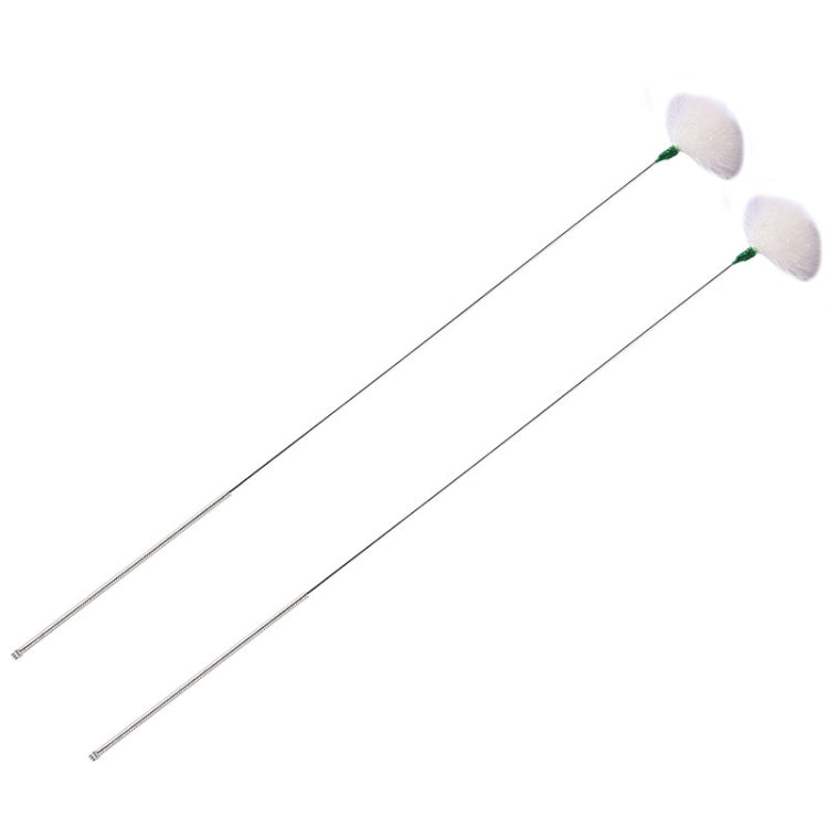 2pcs Medium Heads Silver Needle Goose Quill Stick Ear Picking Tool - free shipping - PMC TechLife - Order now!