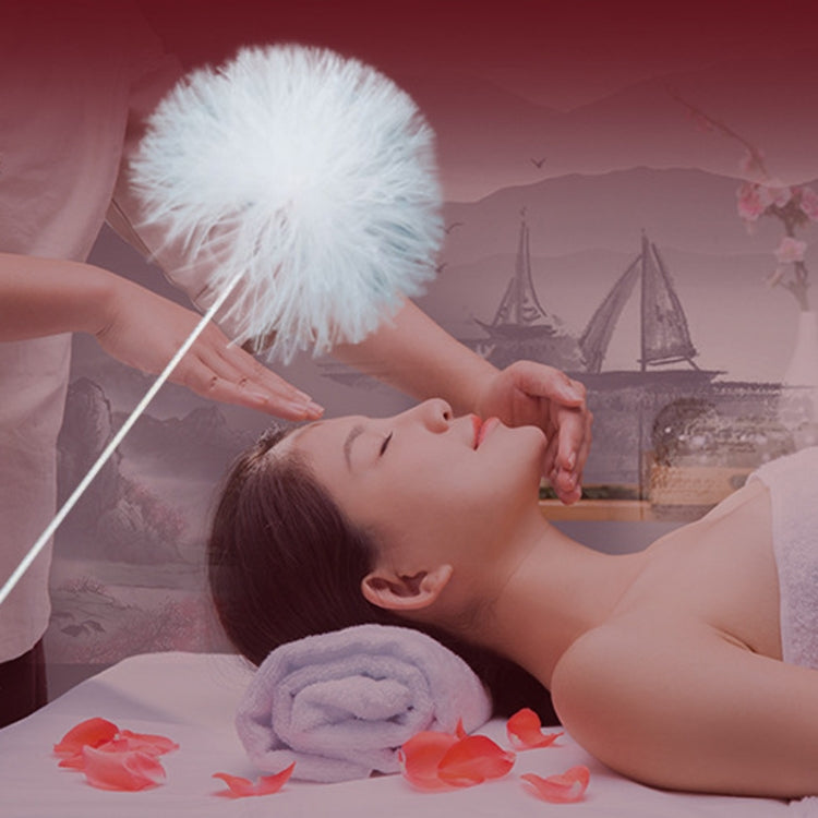 2pcs Medium Heads Silver Needle Goose Quill Stick Ear Picking Tool - free shipping - PMC TechLife - Order now!