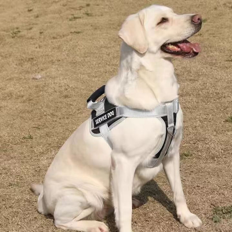 Large Dog Explosion Proof Punch Chest Harness Dog Travelling Leash, Style: Black+2m Round Rope(M) - Leashes & Chest Strap by PMC TechLife | Online Shopping South Africa | PMC TechLife | Buy Now Pay Later Mobicred
