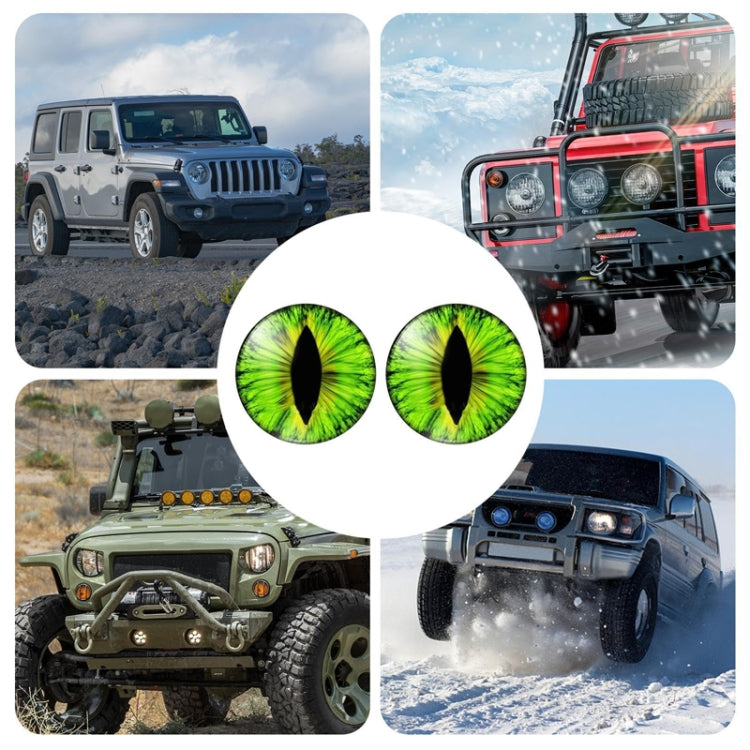 1pair Beast Eyes Headlight Decorative Stickers Off-Road Vehicle Front Lights Stereo Decals, Style: 28 - Lamp Decoration by PMC TechLife | Online Shopping South Africa | PMC TechLife | Buy Now Pay Later Mobicred