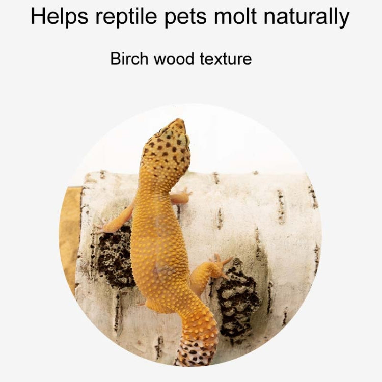 L Aquarium Birch Shape Hiding House Reptiles Lizards Aquascape - free shipping - PMC TechLife - Order now!
