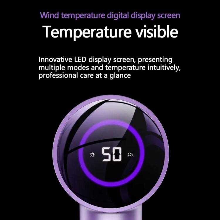 D3 110000 High Speed Smart Constant Temperature Negative Ion Hair Dryer, Color: EU Plug Purple - free shipping - PMC TechLife - Order now!