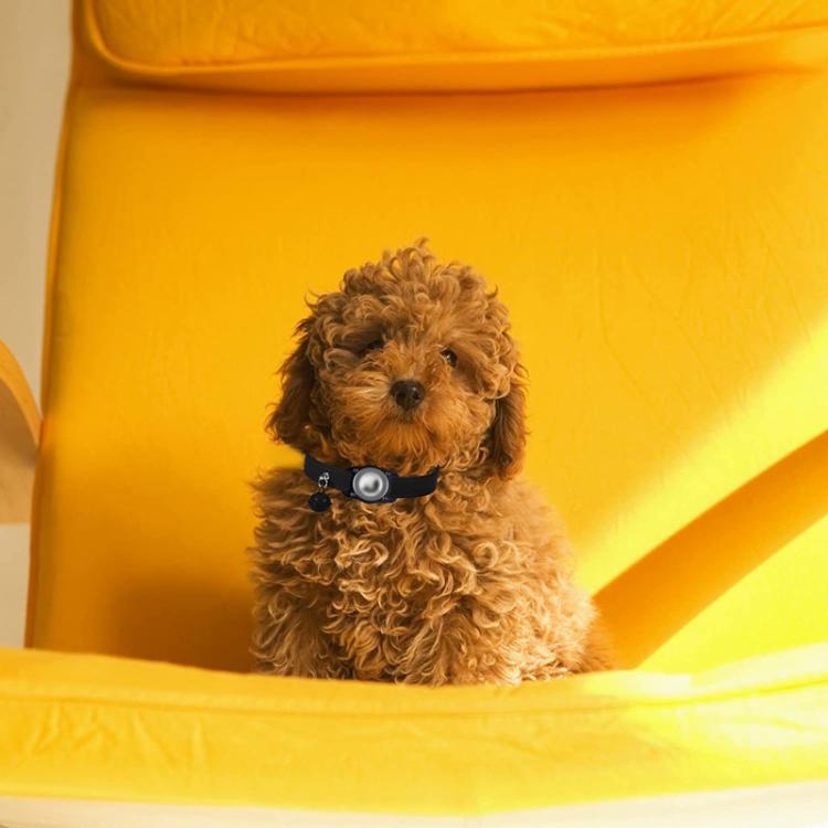 For AirTag Tracker Waterproof Protection Case Pet Leather Collar Anti Lost Cat Locator Collar(Purple) - free shipping - PMc TechLife - Order now!