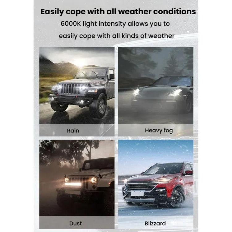 TBD06059965_B8.jpg@c817a32a80adf105f4031fe98b162eff