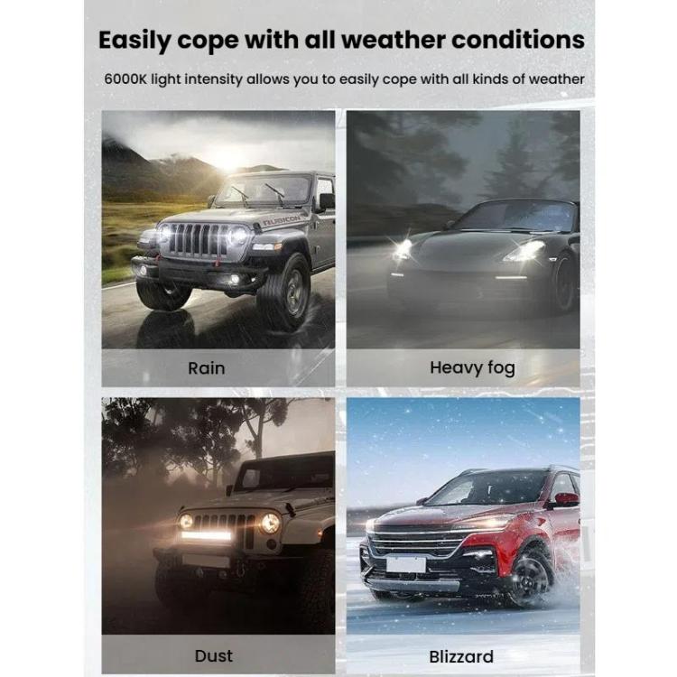 TBD06059966_B7.jpg@5f18a43159dba3693b57b32b2c7c272d