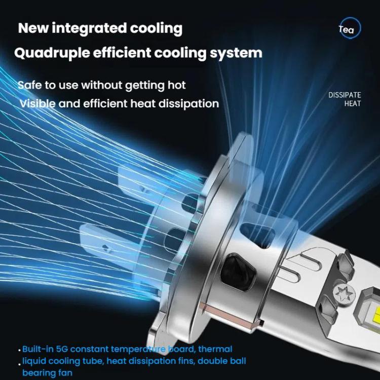 TBD06059967_B9.jpg@d18532b92b53d531e914abfb22cd0993