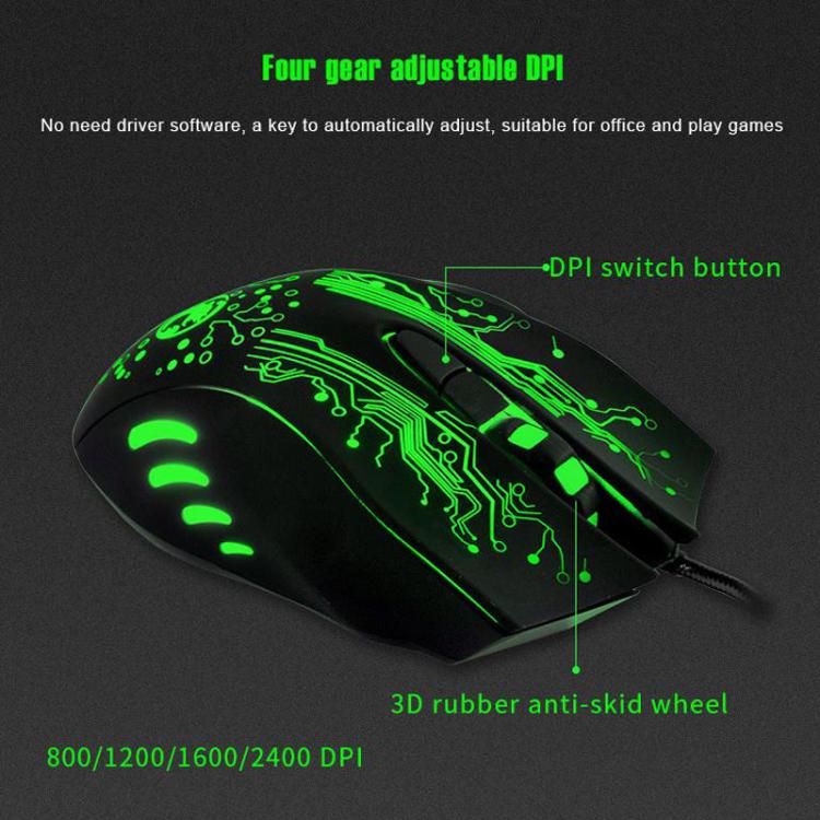 TBD06060020_B3.jpg@60398b18c6a0ff6b4b2b12ebaced8545