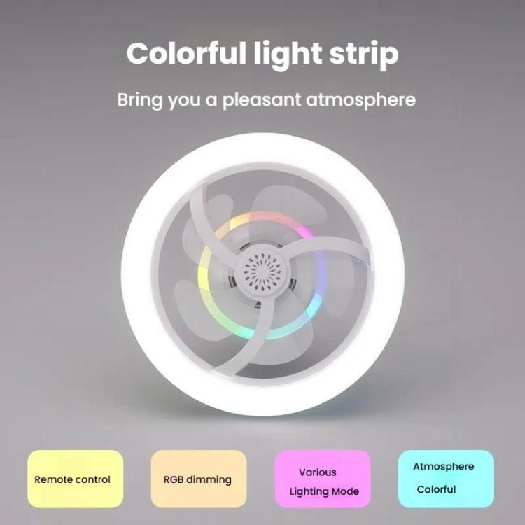 TBD06060501_B3.jpg@0d8d1b7aa6e2d30c5c80dbe67a919308