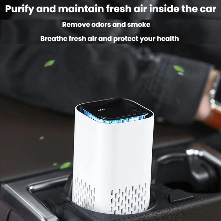 TBD06065026_B4.jpg@2d03a83286b195976fd17f46b984e302