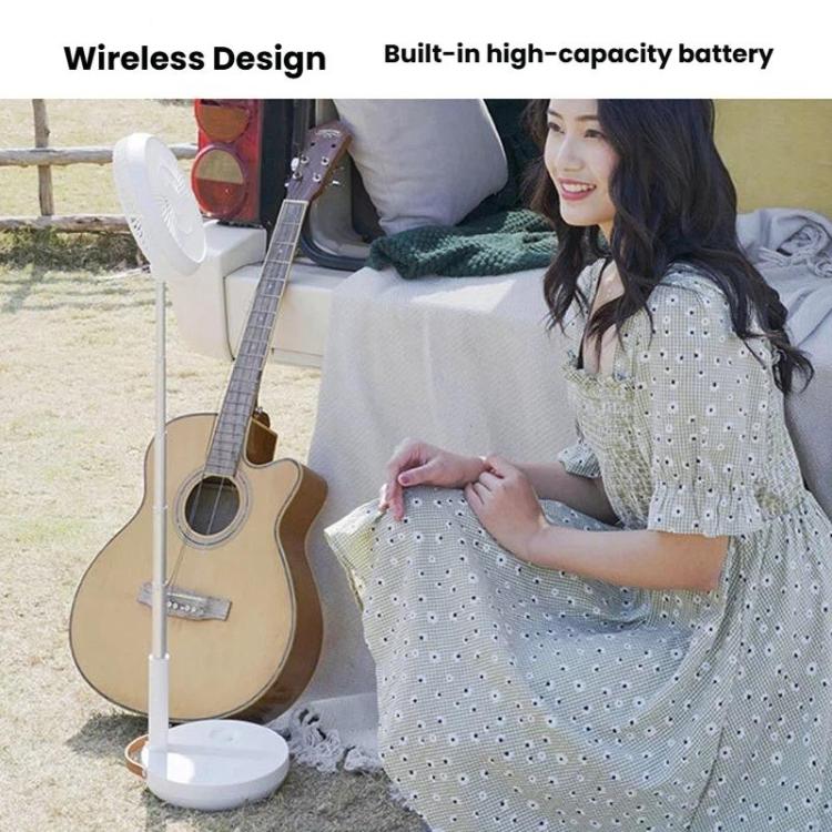 TBD06065341_B3.jpg@a567b18c7a6396ba117db514cbaa1eea