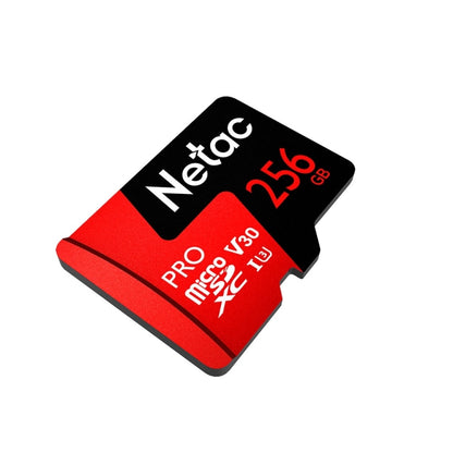 Netac P500 PRO 256GB U3 Speed Level Automobile Data Recorder Monitor Camera Memory Card TF Card - Micro SD Card by Netac | Online Shopping South Africa | PMC Jewellery | Buy Now Pay Later Mobicred