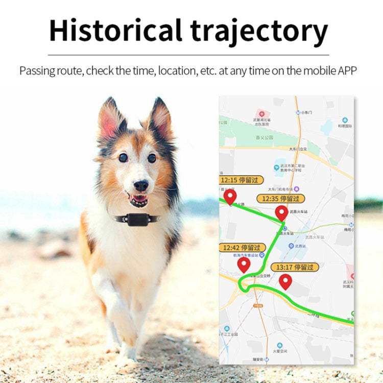 P03 2G Waterproof Pet GPS Tracker GPS+AGPS+WiFi+LBS Locator - Pet Tracker by PMC TechLife | Online Shopping South Africa | PMC TechLife | Buy Now Pay Later Mobicred