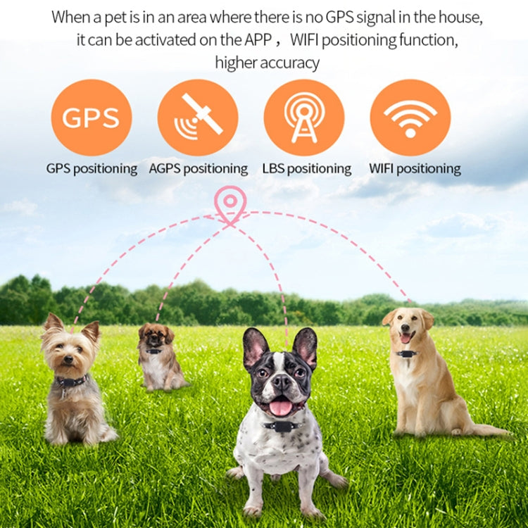 P03 2G Waterproof Pet GPS Tracker GPS+AGPS+WiFi+LBS Locator - Pet Tracker by PMC TechLife | Online Shopping South Africa | PMC TechLife | Buy Now Pay Later Mobicred