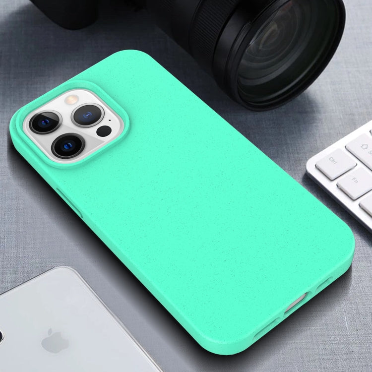 For iPhone 13 Pro Starry Series Shockproof Straw Material + TPU Protective Case (Black) - free shipping - PMC TechLife - Order now!