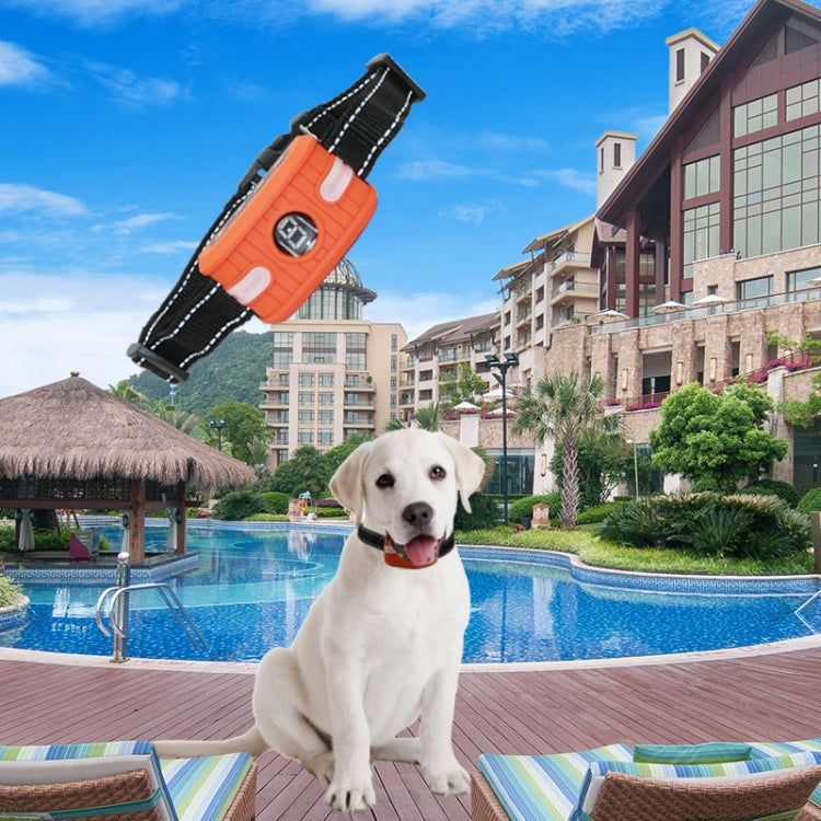 RC-302B Pet Bark Stopper Electric Shock Dog Training Collar Anti-interference Stop Calling Device(Orange) - Training Aids by PMC TechLife | Online Shopping South Africa | PMC TechLife