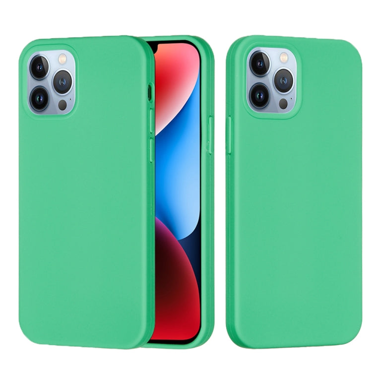 For iPhone 15 Pro Max Solid Color Silicone Phone Case(Green) - iPhone 15 Pro Max Cases by PMC Jewellery | Online Shopping South Africa | PMC Jewellery