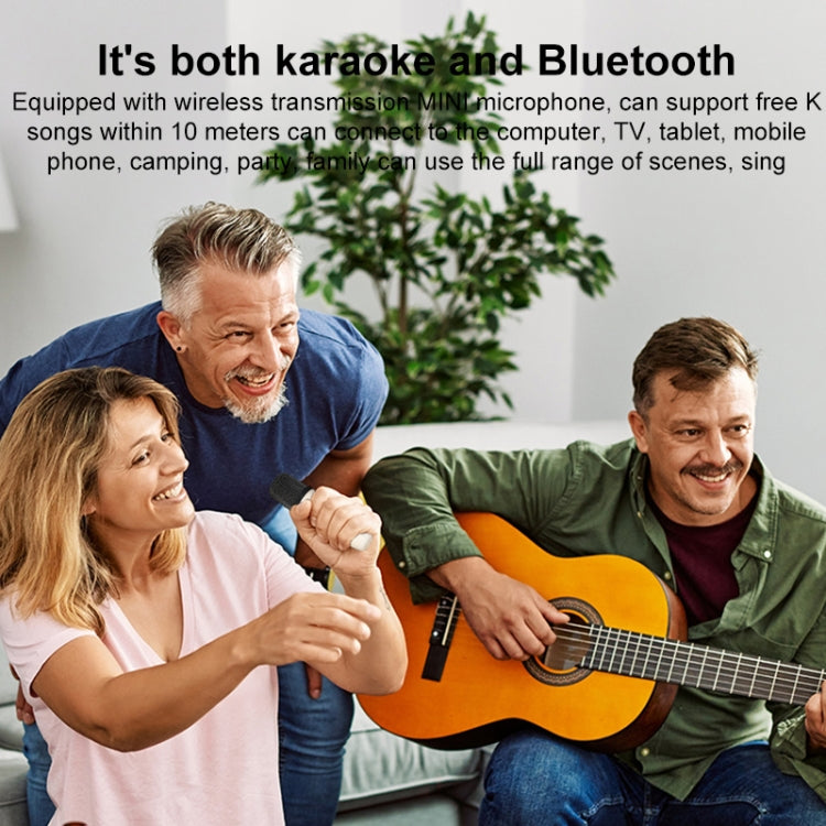 WK D43 Mini Karaoke Bluetooth Speaker(Black) - Microphone by WK | Online Shopping South Africa | PMC Jewellery