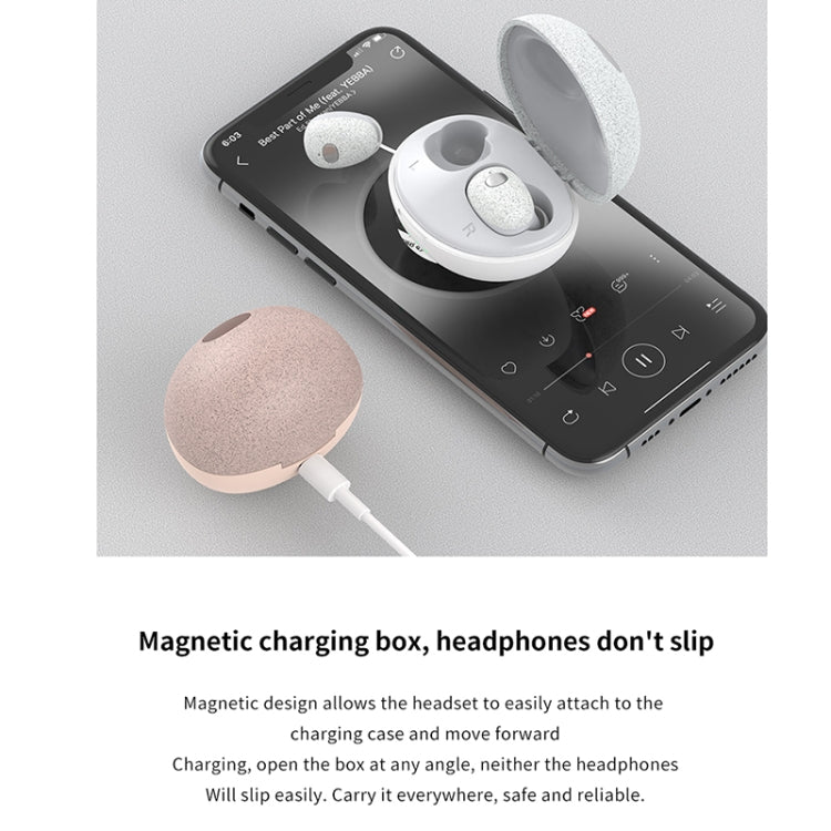 Calante T2S 5D Sound Effect Bluetooth 5.0 Wireless Bluetooth Earphone with Magnetic Charging Box, Support Call & Siri(Black) - Bluetooth Earphone by Galante | Online Shopping South Africa | PMC TechLife | Buy Now Pay Later Mobicred