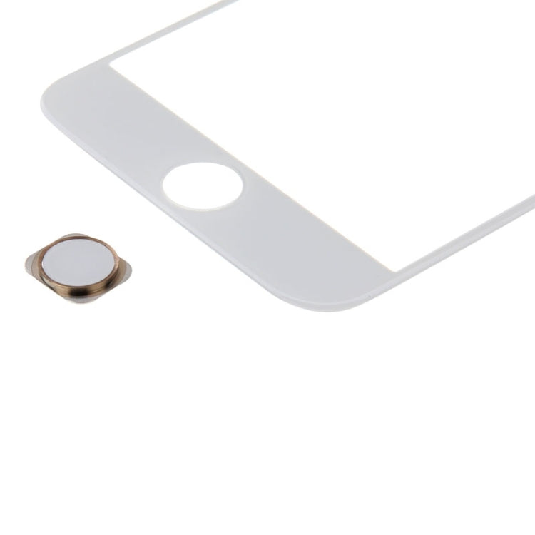 Home Button for iPhone 6s Plus(Gold) - iPhone 6S/6S Plus Parts by PMC TechLife | Online Shopping South Africa | PMC TechLife