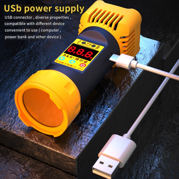 B&R ZS-100 2 in 1 UV Curing Lamp + Fan Cooler Repair Tool - Others by PMC TechLife | Online Shopping South Africa | PMC TechLife