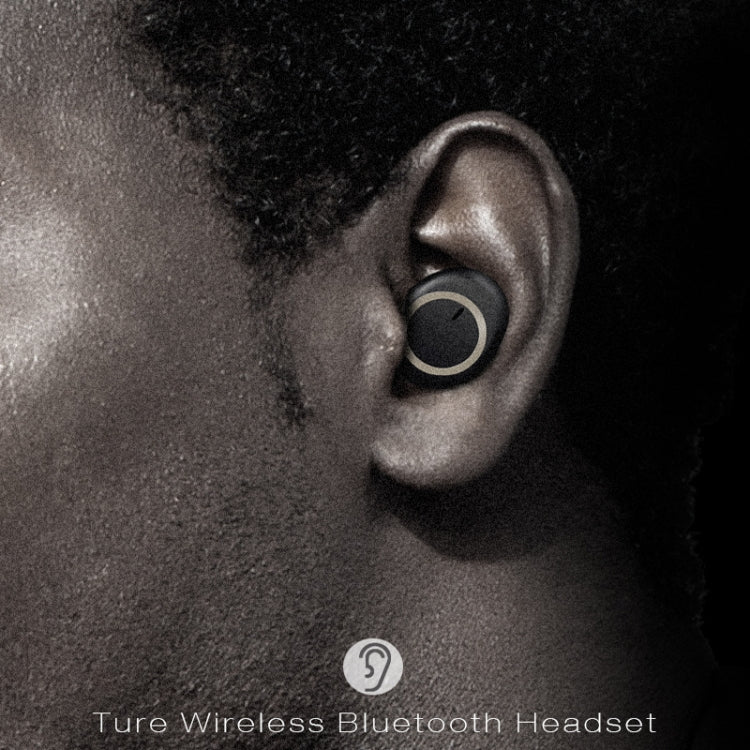 TWS-A1 TWS Bluetooth 5.0 Mini Invisible Sports Music Earphone with Charging Box & Microphone (Black) - TWS Earphone by PMC TechLife | Online Shopping South Africa | PMC TechLife