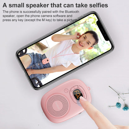 Rolton E200 Mobile Phone Wireless Bluetooth Speaker Mini Portable Outdoor Small Audio Subwoofer Speaker(Black) - Mini Speaker by PMC Jewellery | Online Shopping South Africa | PMC Jewellery