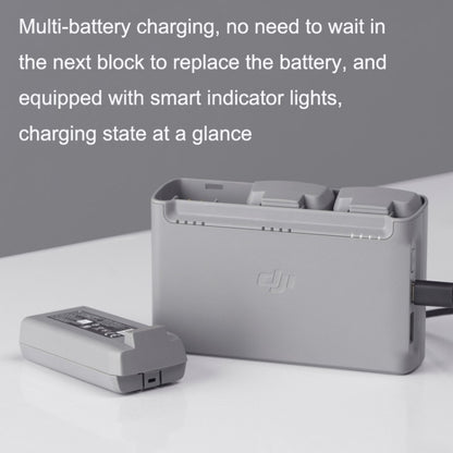 Original DJI Mini 2 / Mini SE Two-way Charging Butler(Gray) - Other by DJI | Online Shopping South Africa | PMC Jewellery | Buy Now Pay Later Mobicred